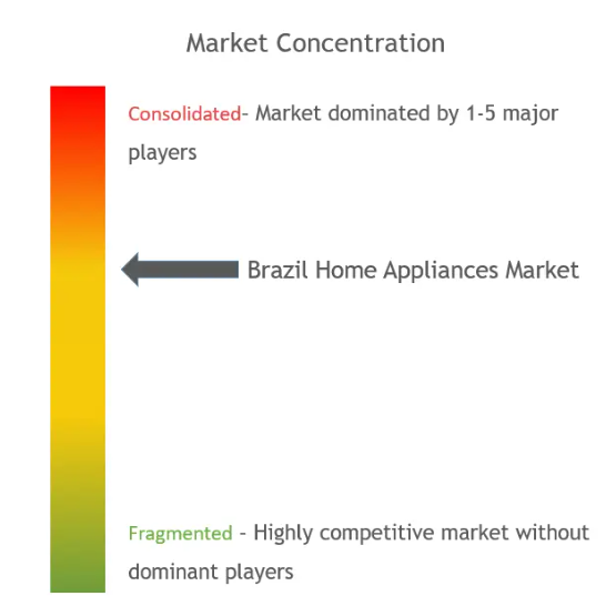 Brazil Home Appliances Market Concentration